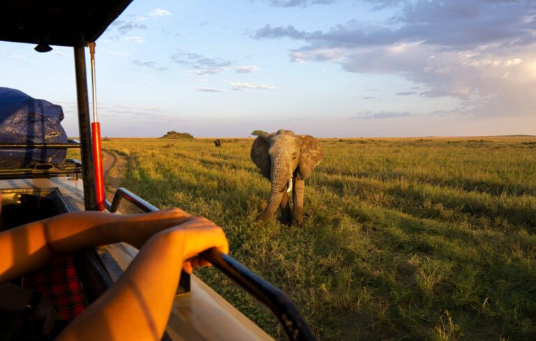 tanzania safari holidays