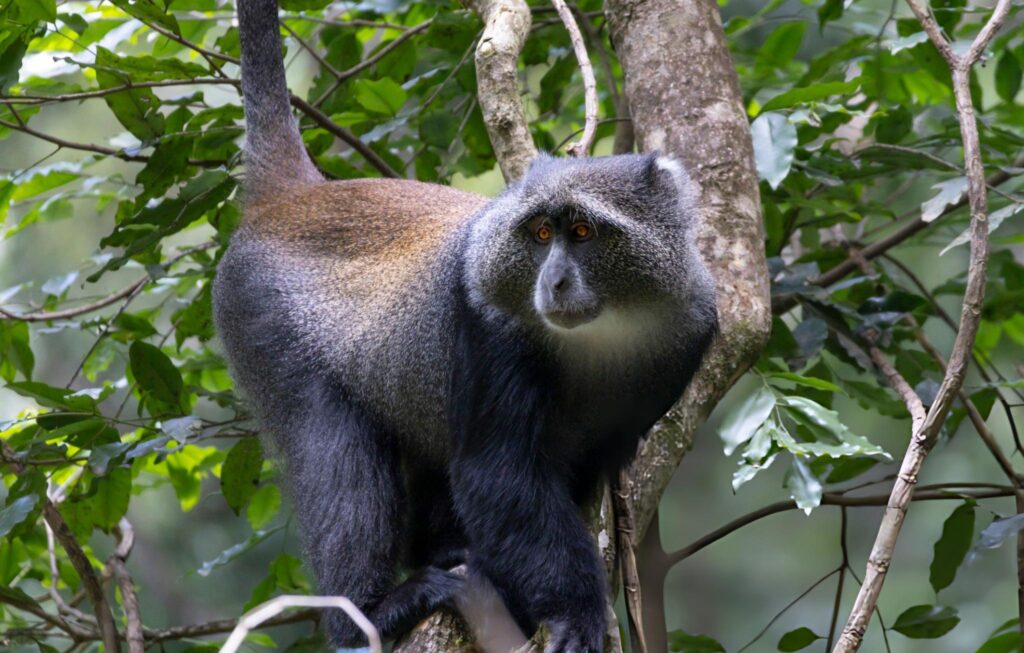 Arusha National Park