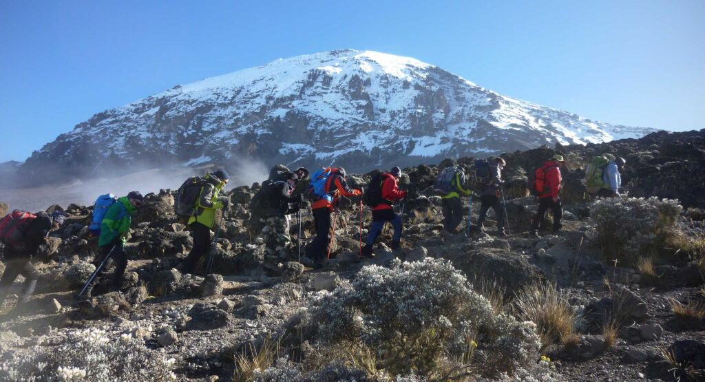 Machame Route Kilimanjaro Trek