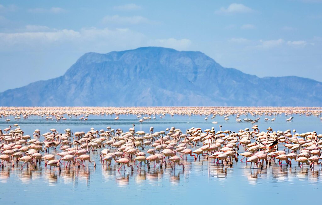 Lake Natron