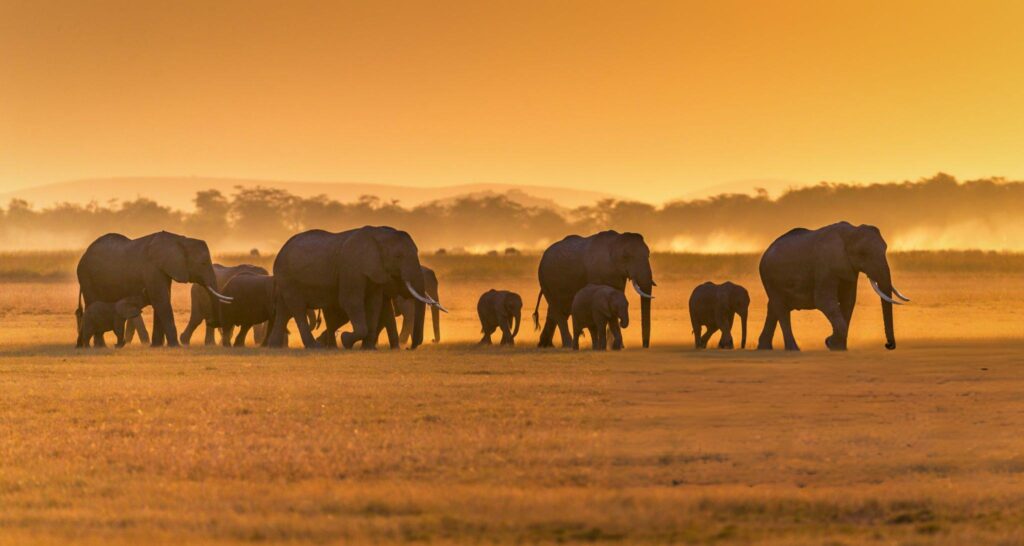 Serengeti National Park